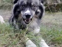 Kuschelbärchen sucht seine Menschen🙏🏻❤️