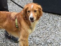 Moritz sucht seine Menschen...