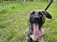 Hubert hat viel Liebe zu verschenken