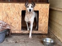 Fine gibt die Hoffnung nicht auf!