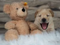 From the windy mountain