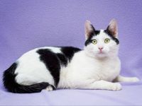 Zaki will nicht mehr alleine sein