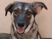 Verzaubert Lori dich mit ihren augen ?!