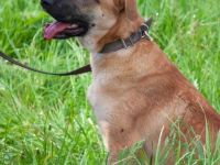 Junge hübsche Leia sucht Familie