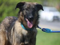 Vasilisa (1 jahre alt) sucht ein Zuhause