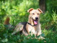 Lee der sonnenschein