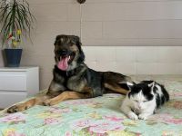 Wer hat ein herz für Rudy?!