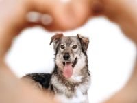 Wer verliebt sich in Cruz ?!