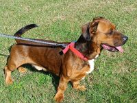 Karamel sehr lieb und freundlich