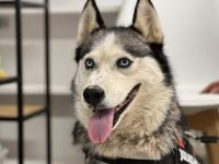 Lass dich von Glitter verzaubern