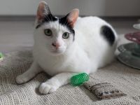 Zuhause gesucht für Marico