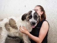 Bunty wartet auf dich