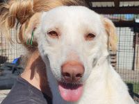 Maleen möchte endlich in einem eigenen, warmen Körbchen erholsam schlafen, 6 Jahre, 48 cm