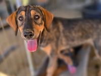 Auguste – sanft und voller Hoffnung