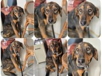 Auguste – sanft und voller Hoffnung