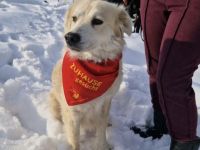 Kuschelige Chanel sucht ihre Menschen