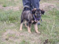 Liv wartet schon auf Deine Anfrage!