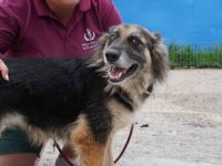 Neska freut sich schon auf dich!