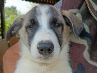 Pierre wartet auf seine Familie