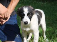 Zuckersüße Iany sucht ihr Zuhause