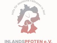 Pflegestellen & Helfer dringend gesucht!