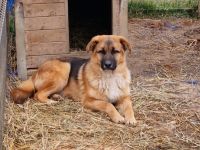 Clifford wartet auf sein Ticket ins Glück