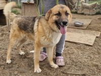 Clifford wartet auf sein Ticket ins Glück