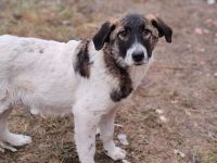 Kleiner Wonneproppen Süntje