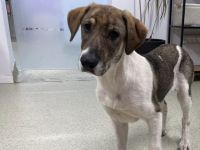 July ist bereit für ihr neues Zuhause