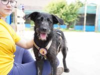 Kiara - Lebensfreude pur