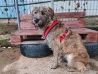 Margrit sucht ein ruhiges Plätzchen