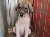 Hallo - ich bin Mala