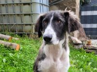 Amaris ist bereit für ein neues Leben