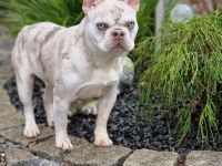 Skey steht für Deckungen zur Verfügung