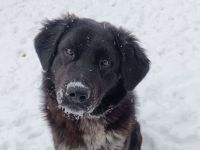 Ivy - voller Energie und Lebensfreude!