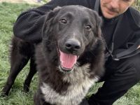 Ivy - voller Energie und Lebensfreude!