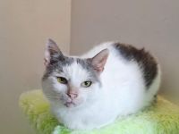 Wo darf Eddie seinen Lebensabend genießen?