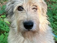 Kasper wünscht sich eine Familie