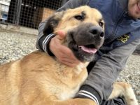 Die tolle Resa wartet auf dich