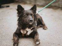 Cassiopeia möchte endlich in liebevolle Hände