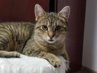 Anschmiegsame Kiki wünscht sich ein Happy End