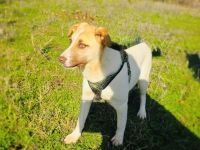 Leonie ein verschmustes Mädchen