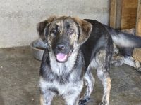 Kessy hat so viel Liebe zu geben - entdecken Sie sie!