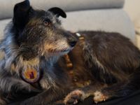 Kämpferin mit Herz - Wanda wartet auf ihre Familie