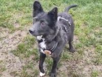 Kämpferin Sayana sucht Neuanfang