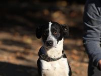 Beni - ist eine sanfte Seele