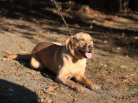 Tessa - ist eine fröhliche Type - RESERVIERT