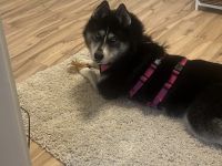 Mayas blaue Augen suchen dich