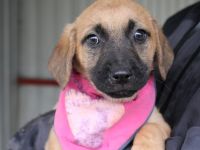 And the winner is: Chantal