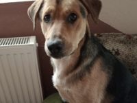 Verliebst du dich in Henry?